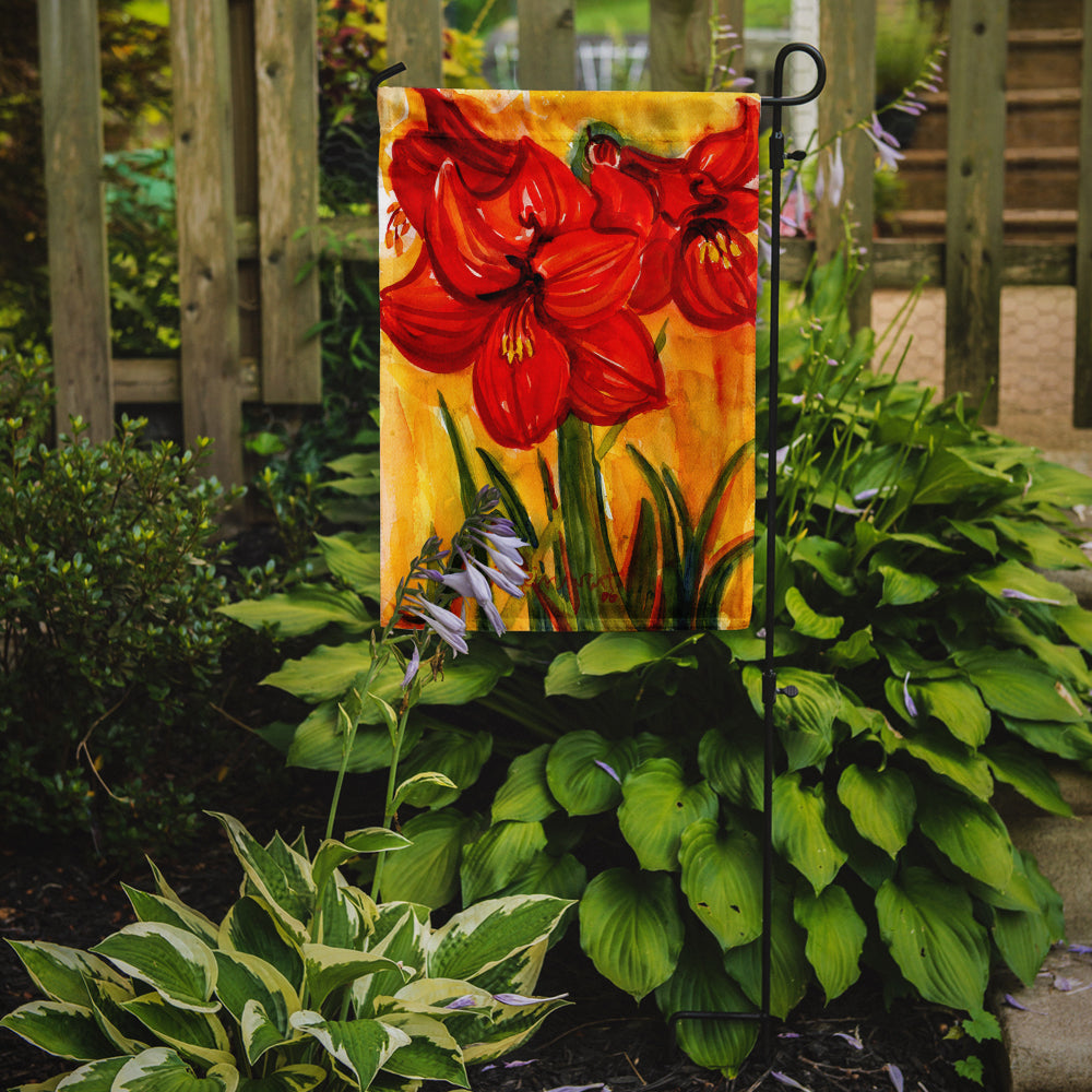 Flower - Amaryllis Flag Garden Size.