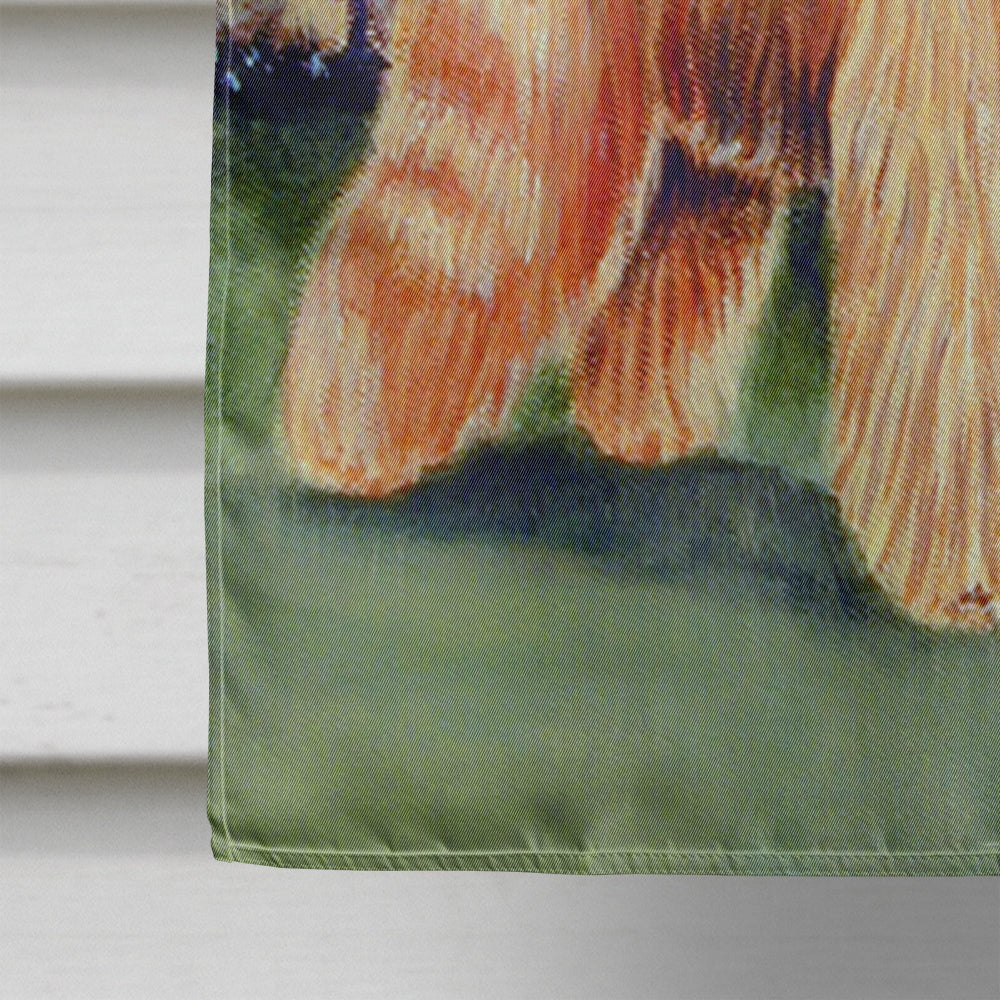 Briard by the stone fence Flag Canvas House Size