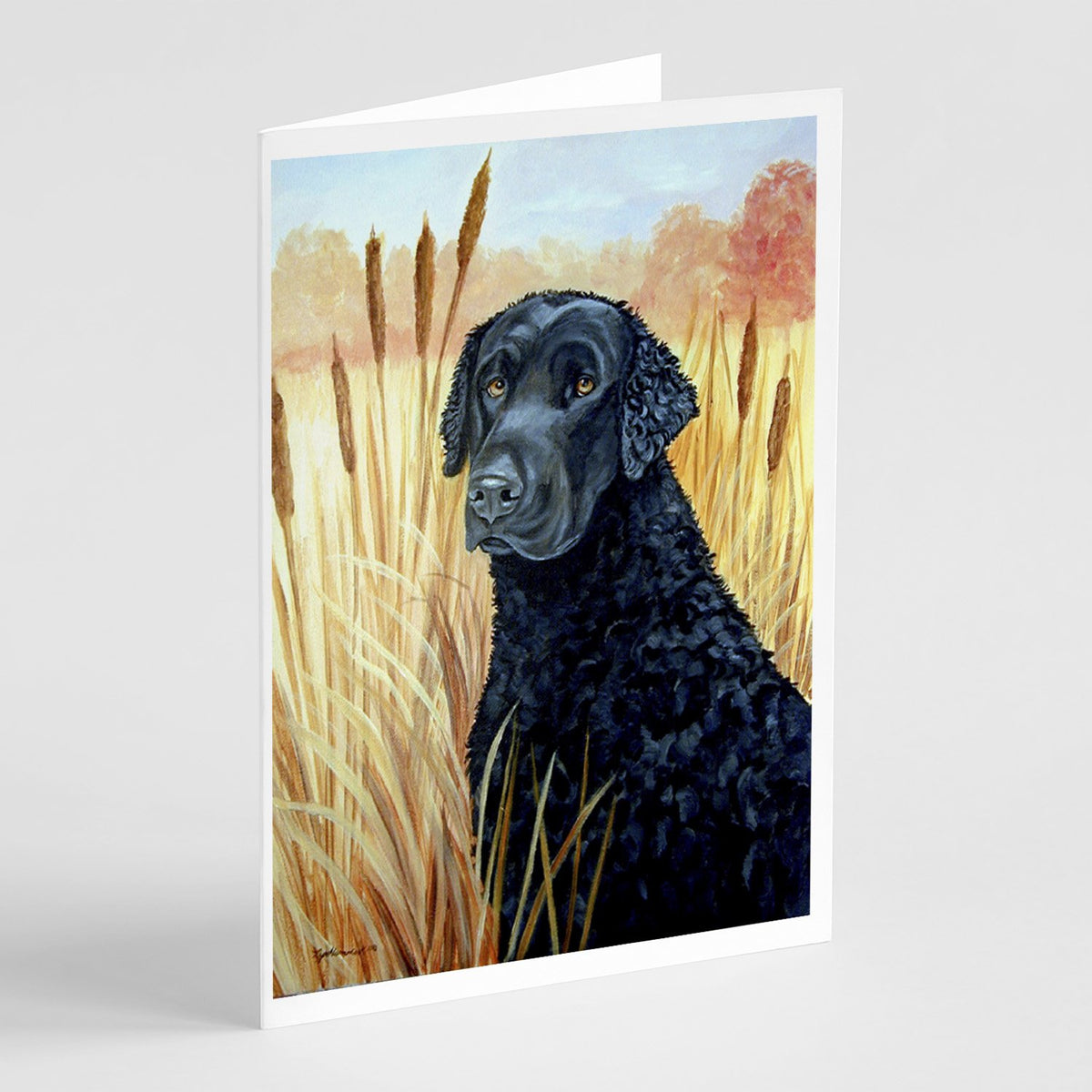Buy this Curly Coated Retriever  Greeting Cards and Envelopes Pack of 8