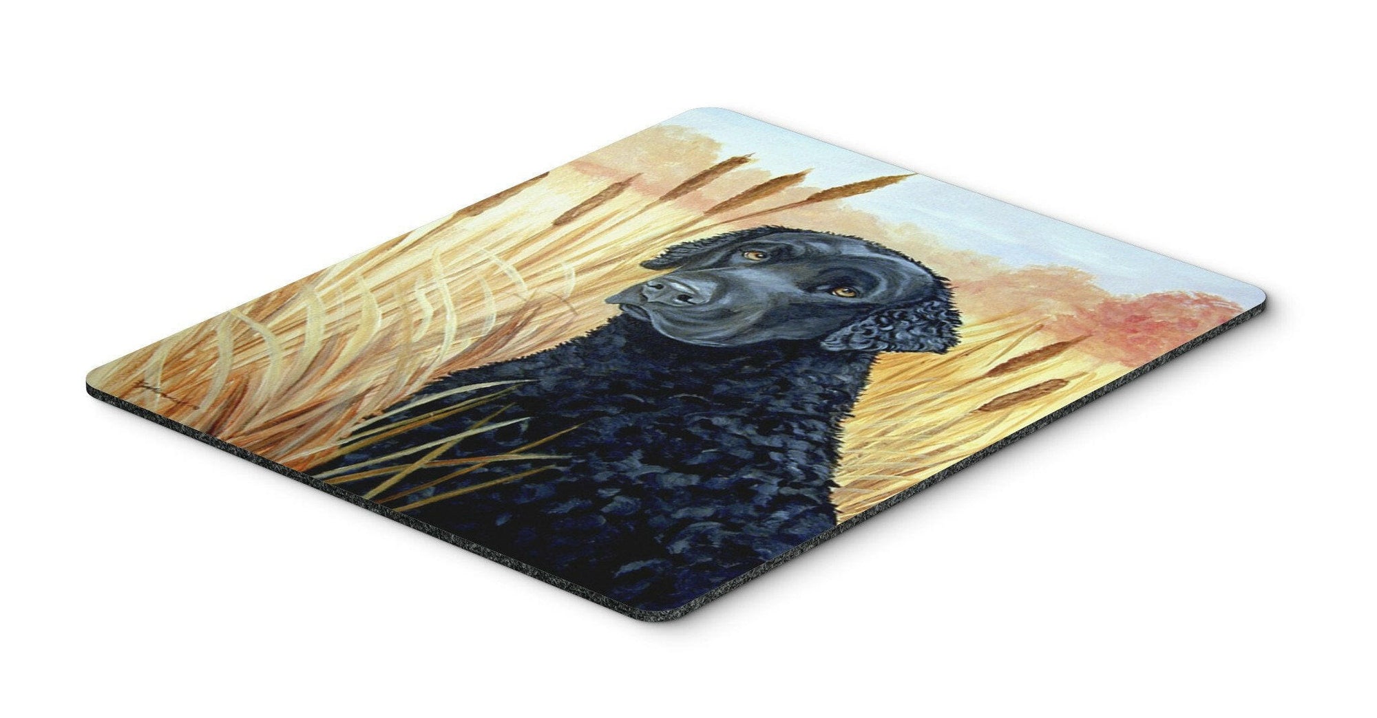 Curly Coated Retriever Mouse Pad, Hot Pad or Trivet by Caroline's Treasures
