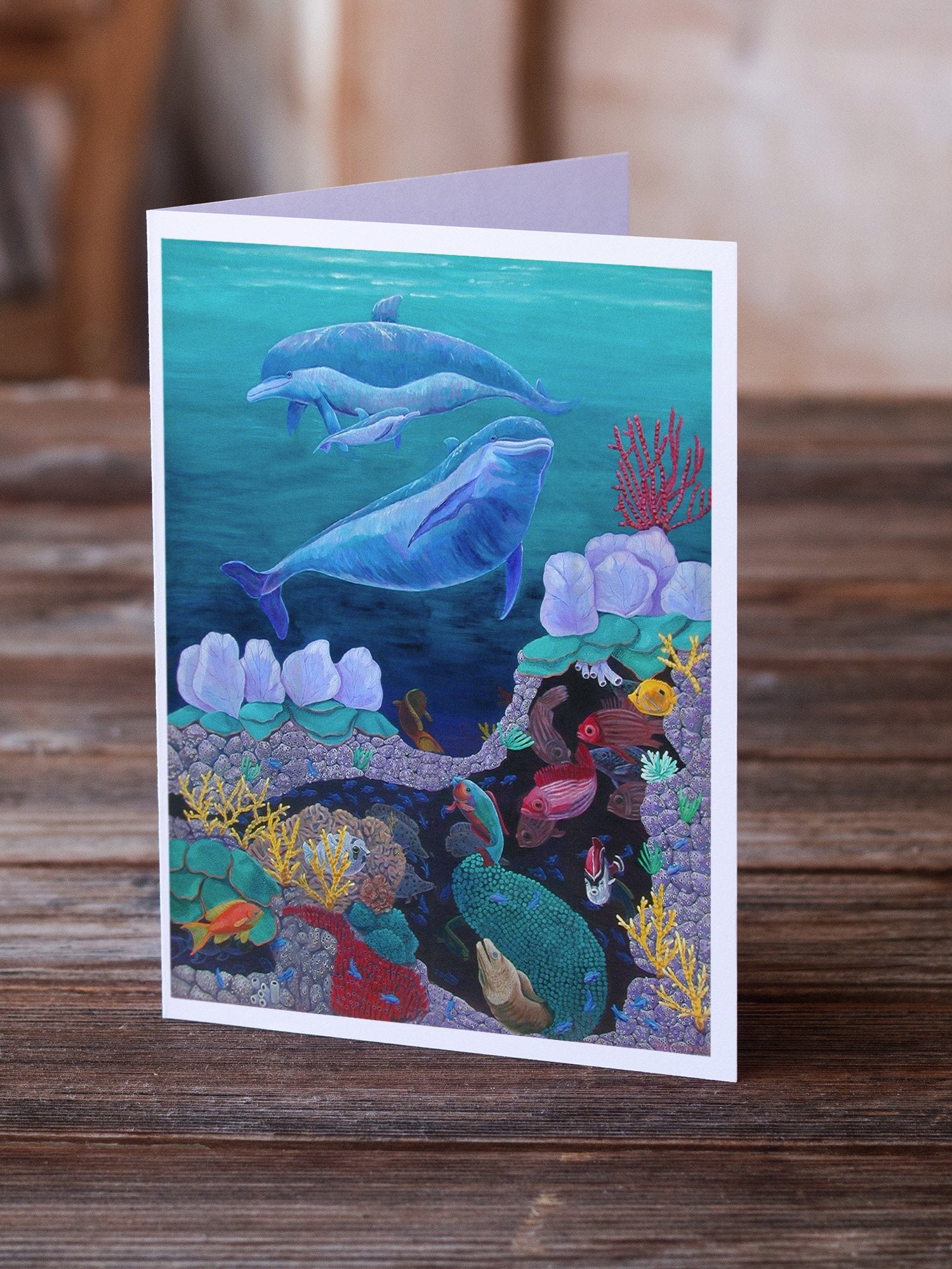 Dolphin Familty Swimming Greeting Cards and Envelopes Pack of 8 - the-store.com