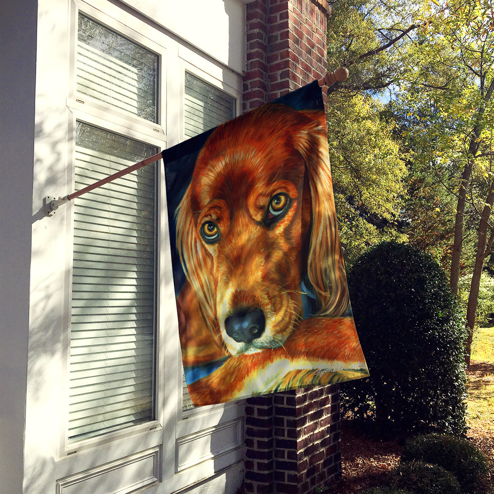 Irish Setter Serious Flag Canvas House Size 7315CHF  the-store.com.