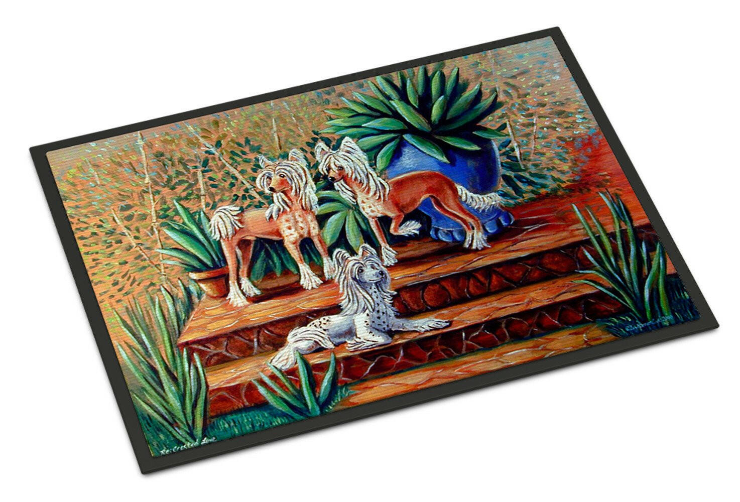 Chinese Crested  Indoor or Outdoor Mat 24x36 Doormat - the-store.com