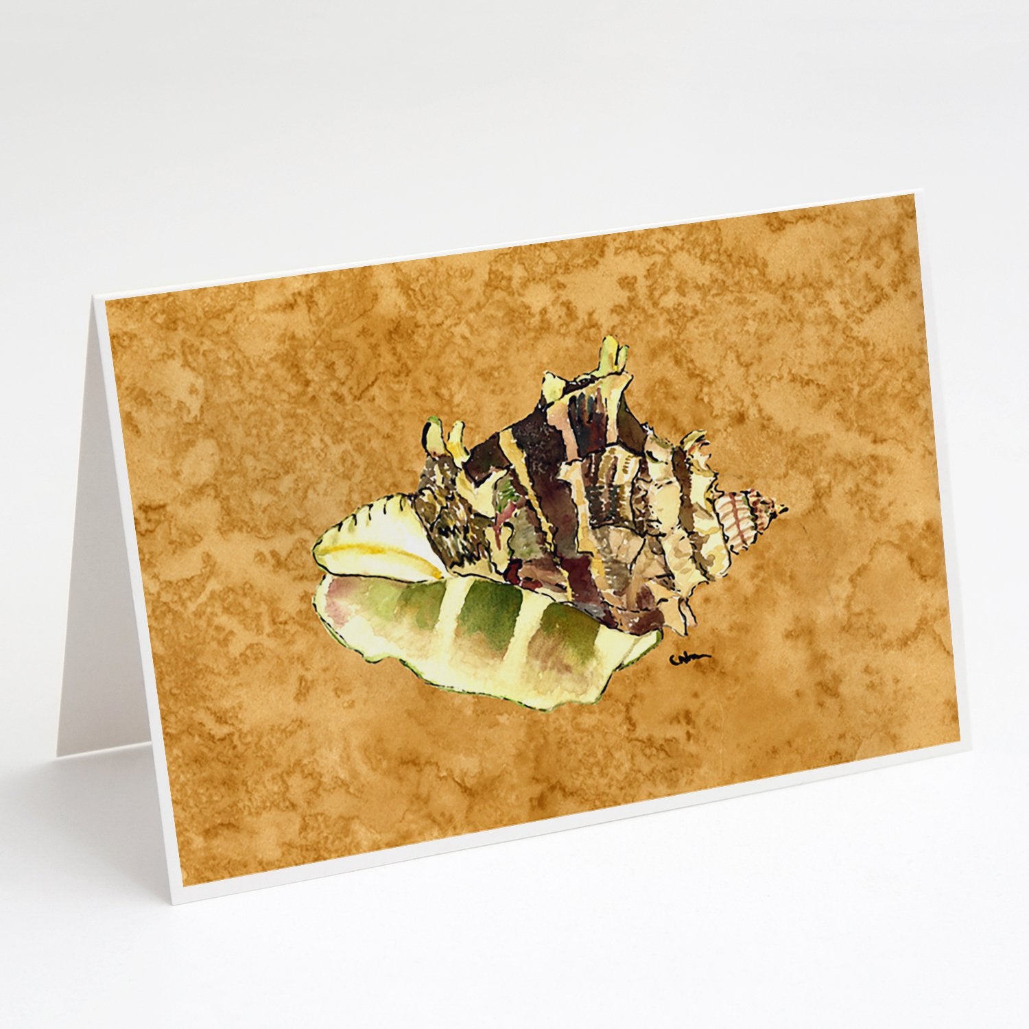 Buy this Shell Greeting Cards and Envelopes Pack of 8