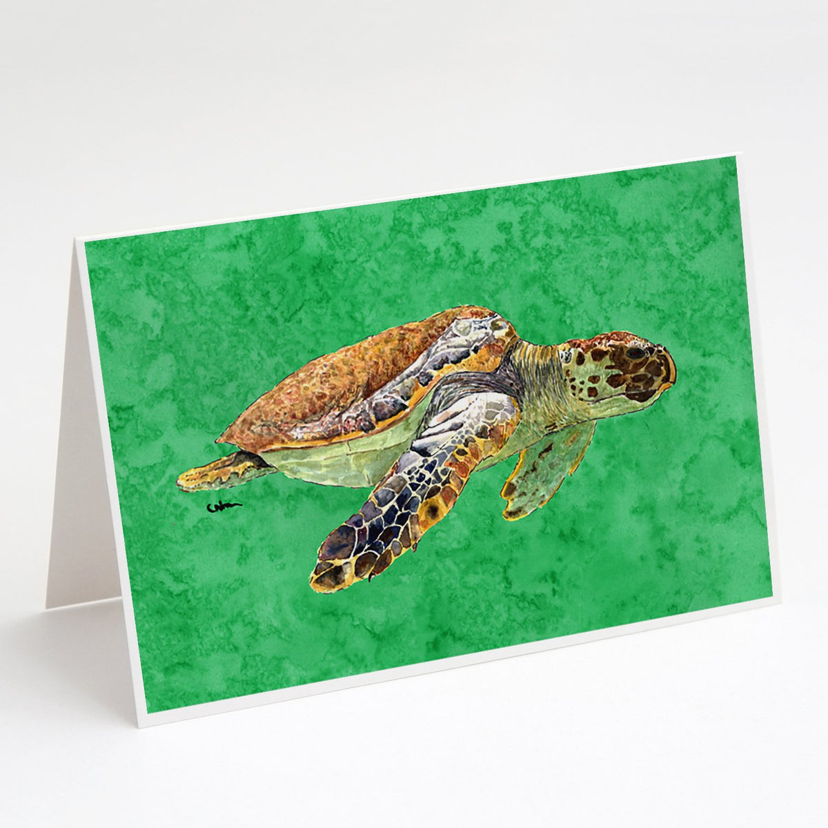 Buy this Loggerhead Turtle on Green Greeting Cards and Envelopes Pack of 8