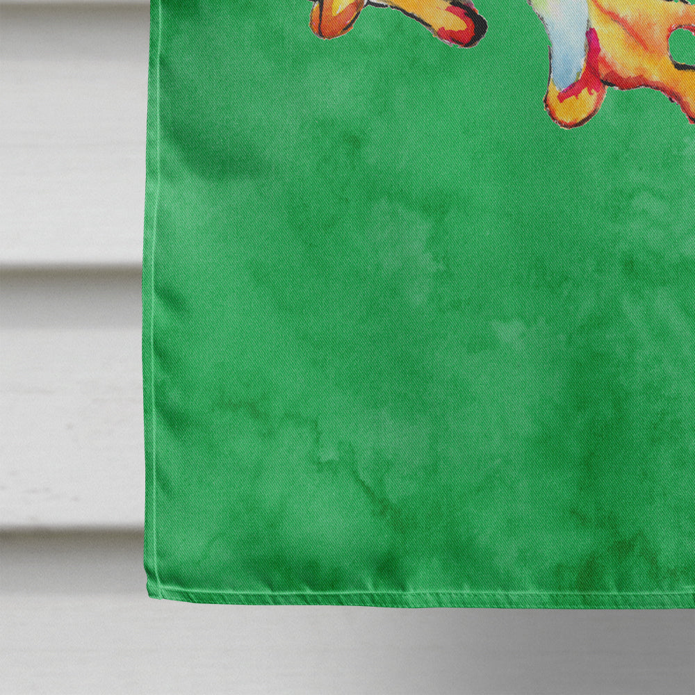 Frog  Flag Canvas House Size