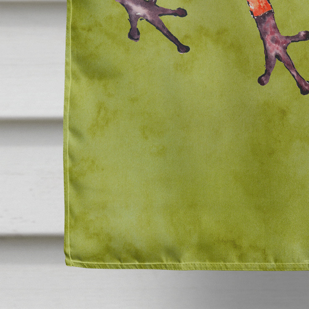 Frog  Flag Canvas House Size  the-store.com.