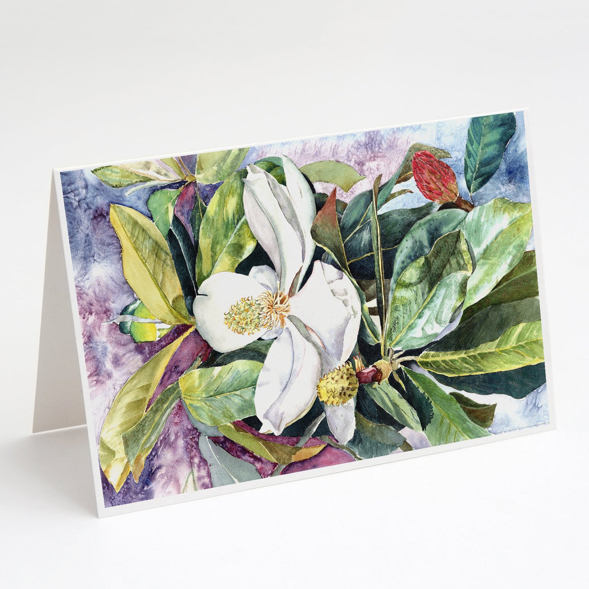 Buy this Magnolia Greeting Cards and Envelopes Pack of 8