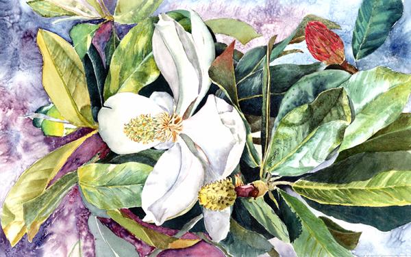Magnolia Fabric Placemat 8700PLMT by Caroline's Treasures