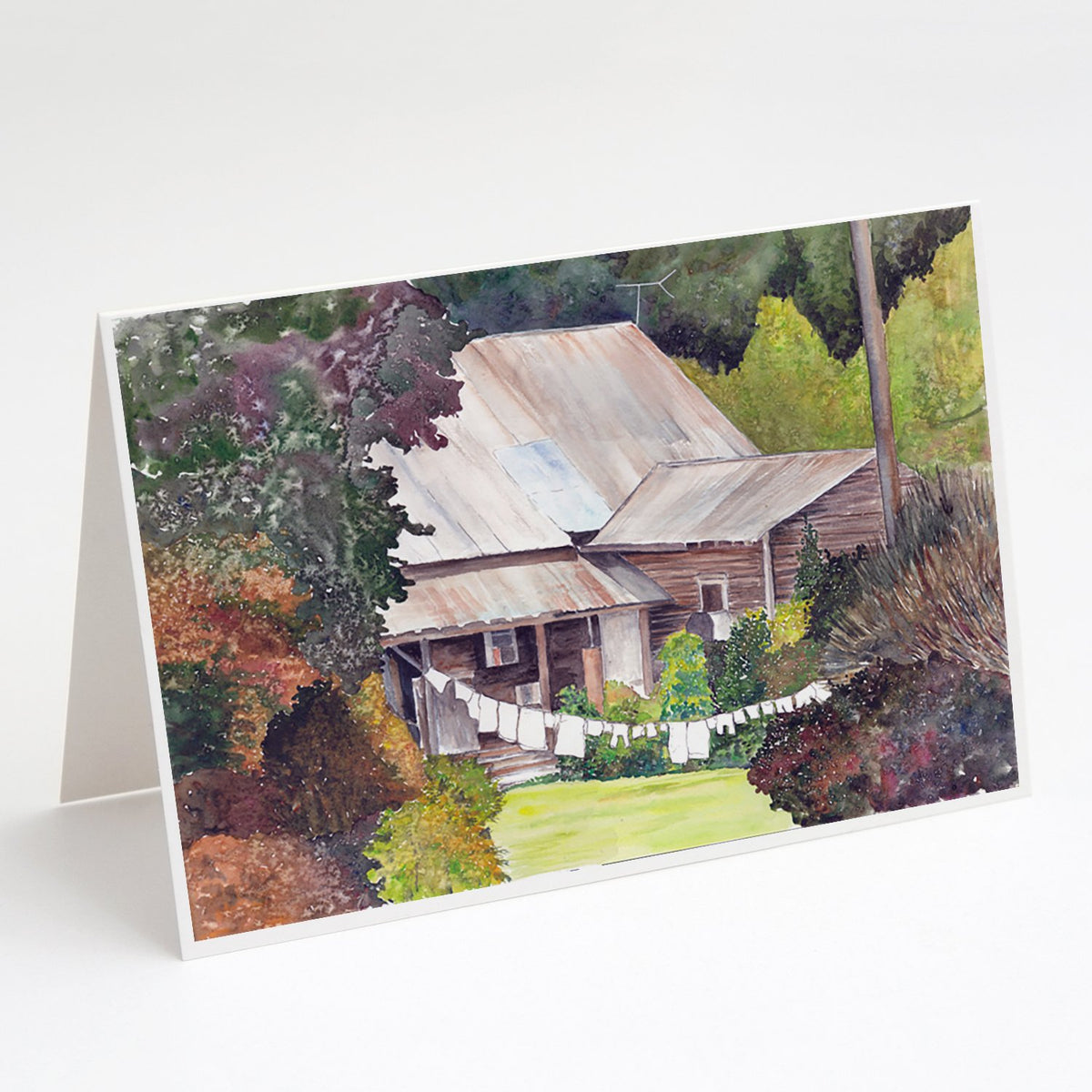 Buy this Wash Day Greeting Cards and Envelopes Pack of 8