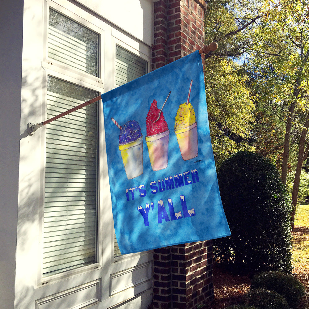 Snowballs and Snowcones Flag Canvas House Size