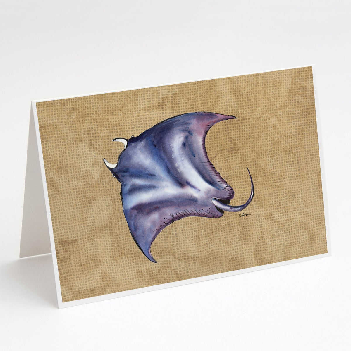 Buy this Stingray Greeting Cards and Envelopes Pack of 8