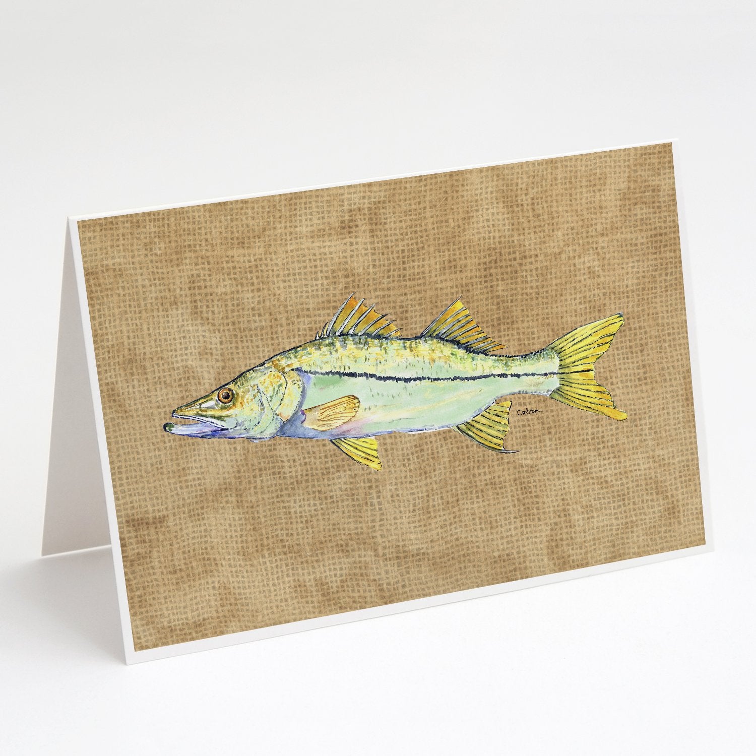 Buy this Snook Greeting Cards and Envelopes Pack of 8