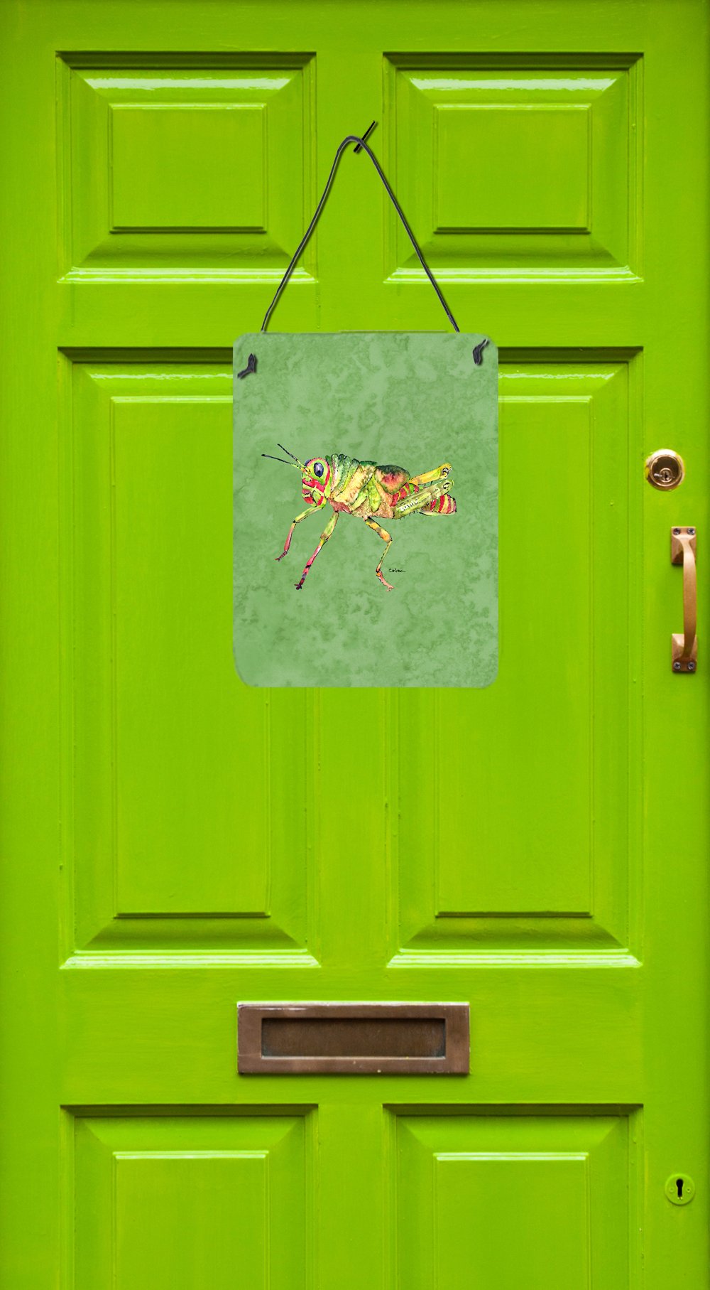 Grasshopper on Avacado Aluminium Metal Wall or Door Hanging Prints by Caroline's Treasures