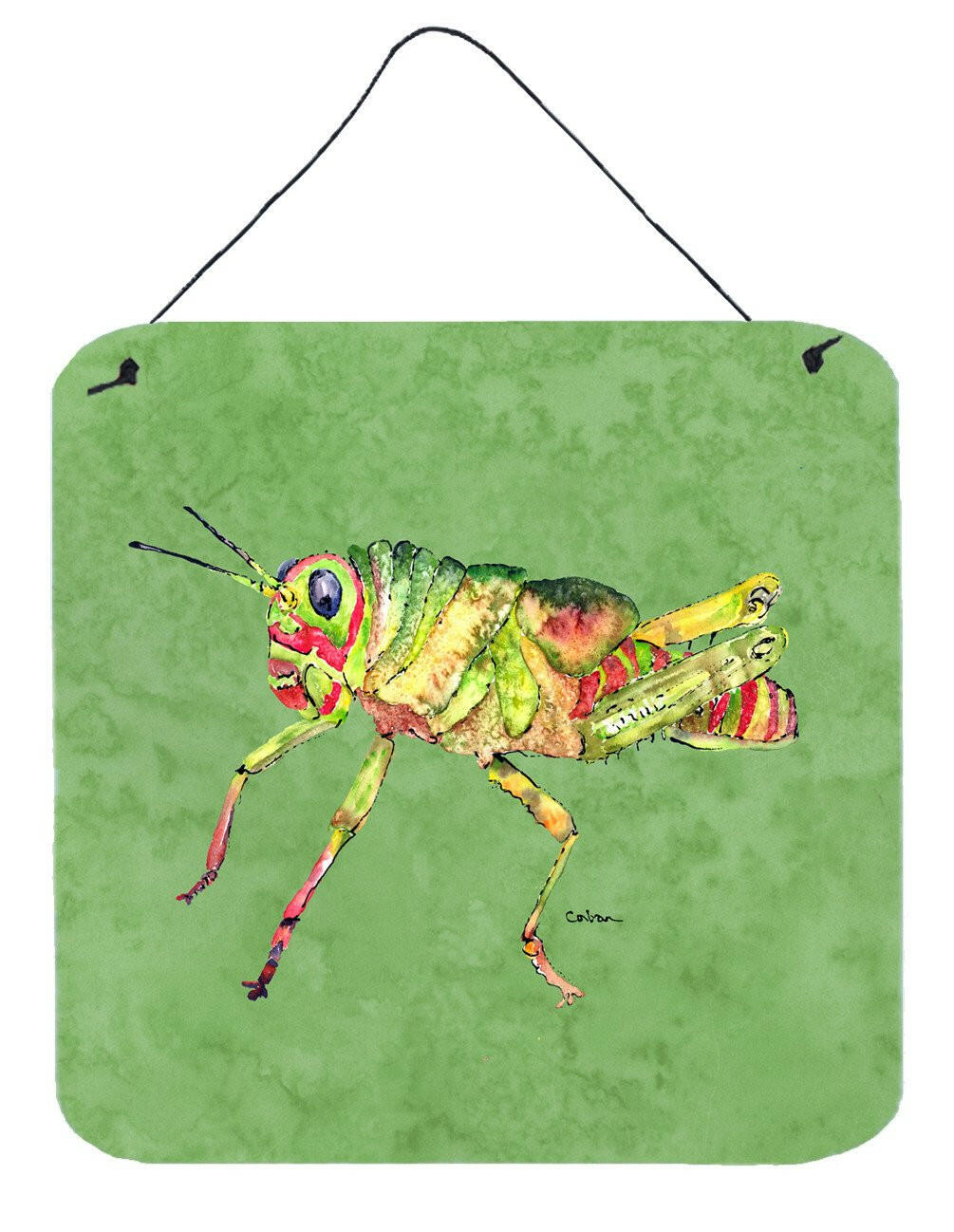 Grasshopper on Avacado Aluminium Metal Wall or Door Hanging Prints by Caroline&#39;s Treasures