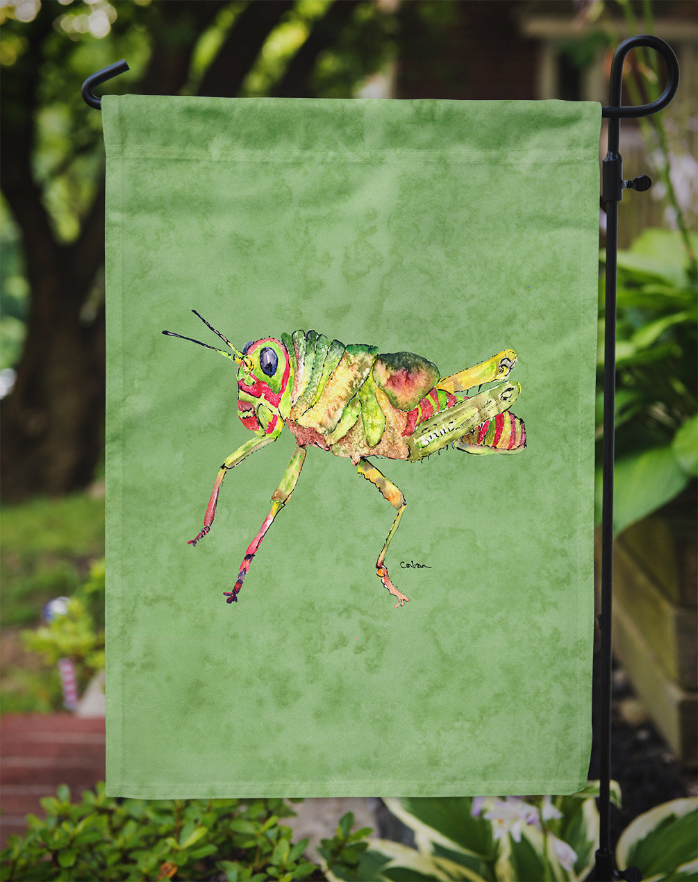 Grasshopper on Avacado Flag Garden Size.