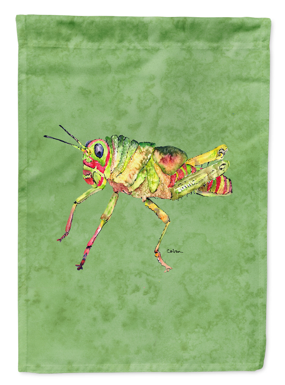 Grasshopper on Avacado Flag Garden Size.
