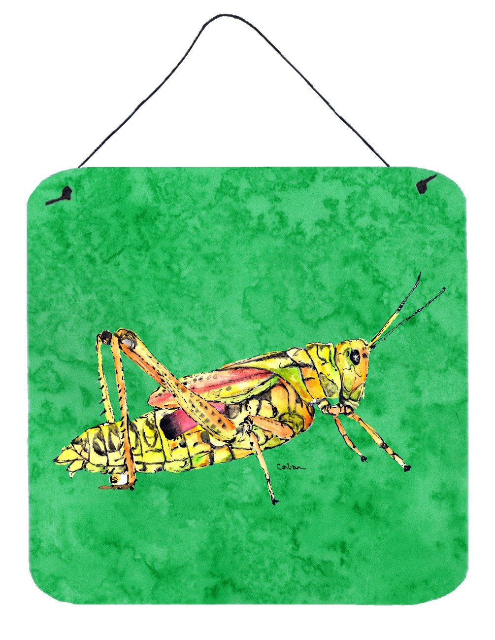Grasshopper on Green Aluminium Metal Wall or Door Hanging Prints by Caroline's Treasures