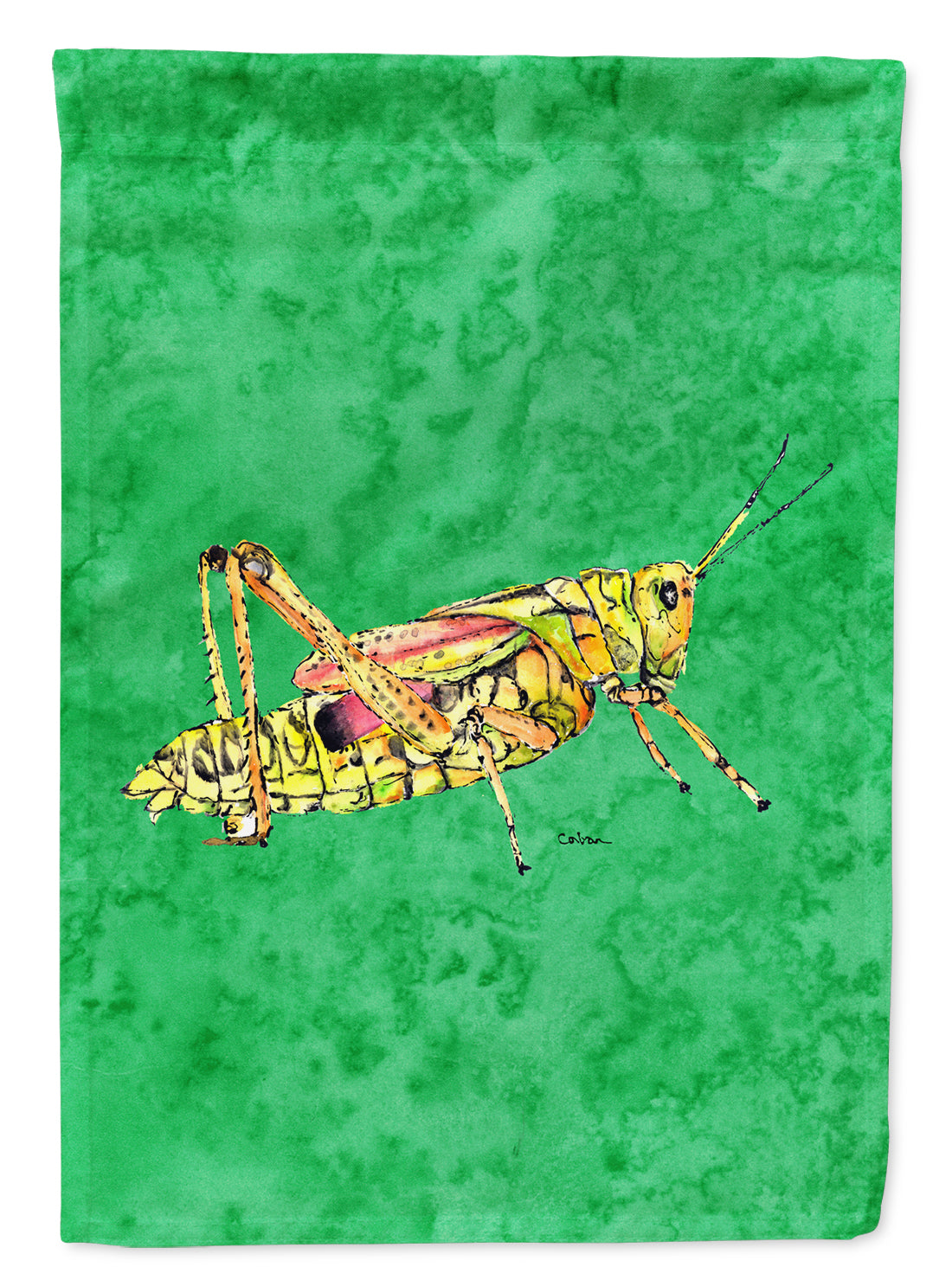 Grasshopper on Green Flag Garden Size.