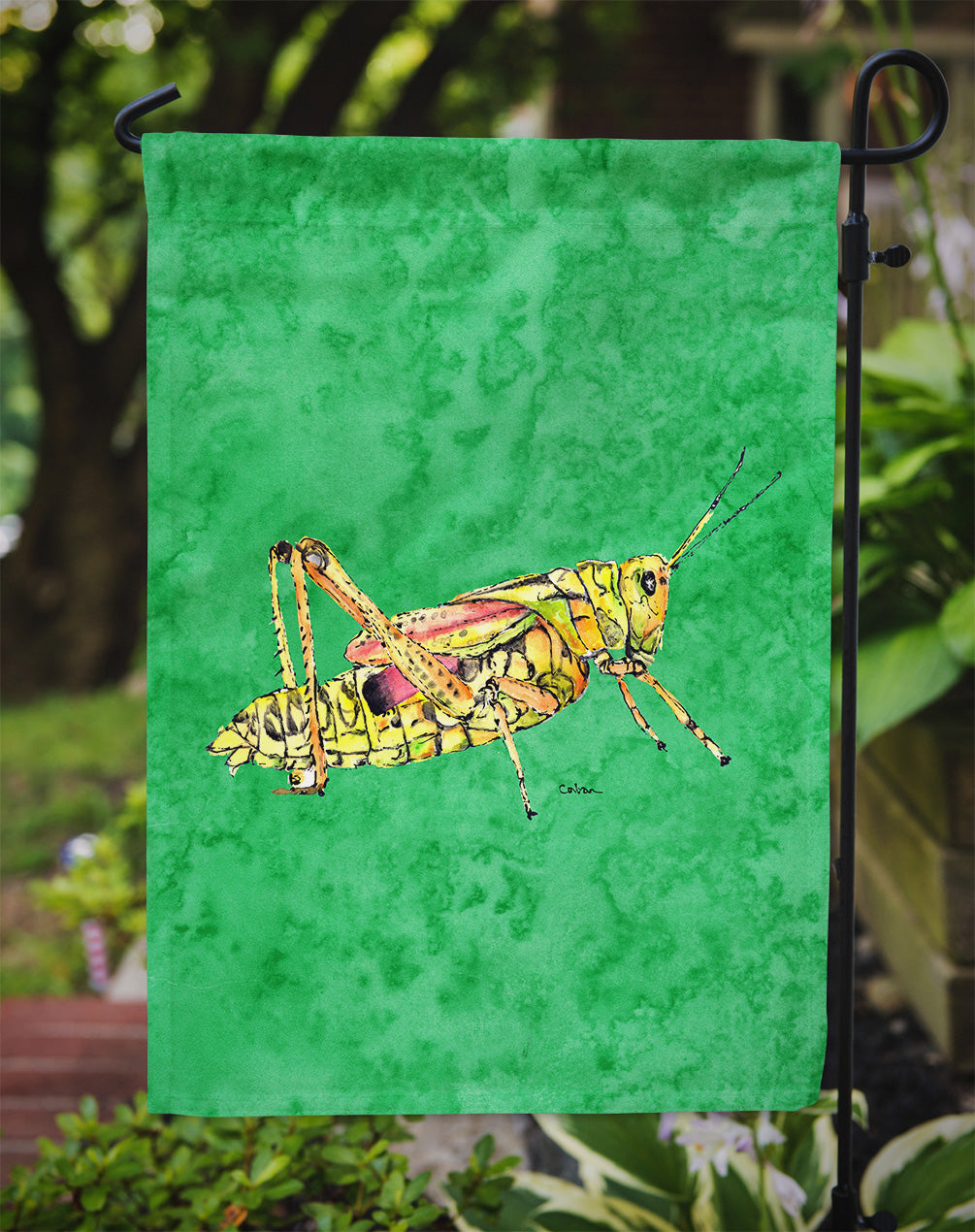 Grasshopper on Green Flag Garden Size.