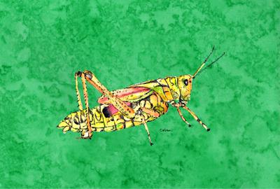 Grasshopper on Green Fabric Placemat by Caroline&#39;s Treasures