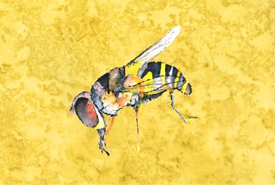 Bee on Yellow Fabric Placemat by Caroline&#39;s Treasures