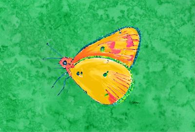 Butterfly Orange on Green Fabric Placemat by Caroline&#39;s Treasures