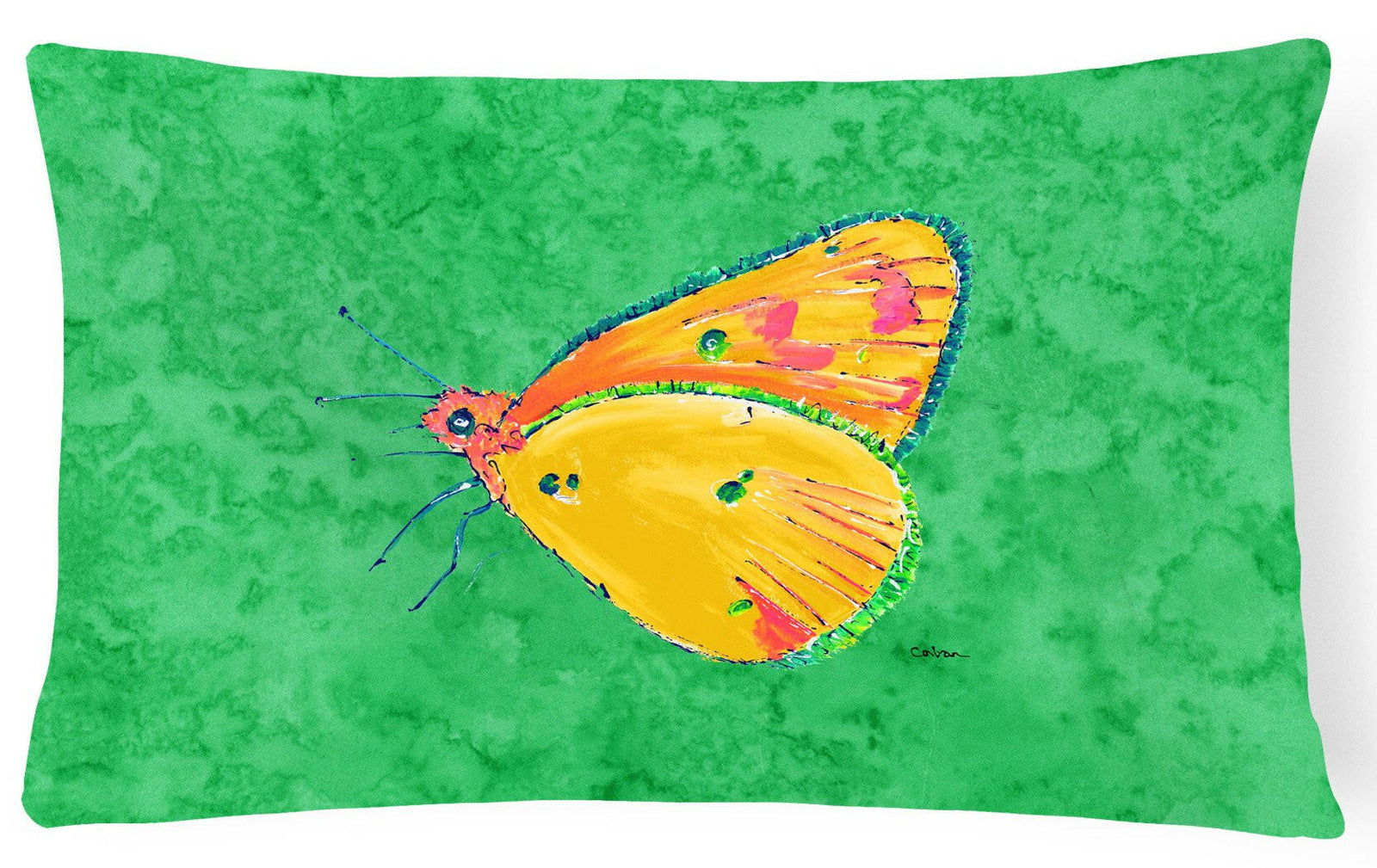 Butterfly Orange on Green   Canvas Fabric Decorative Pillow by Caroline's Treasures