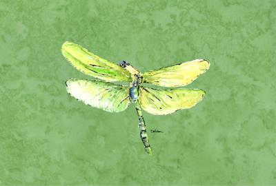 Dragonfly on Avacado Fabric Placemat by Caroline&#39;s Treasures