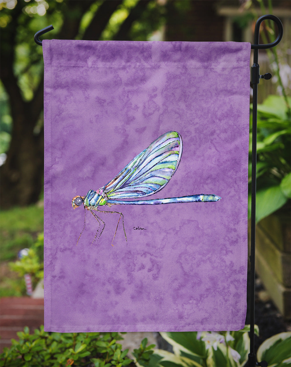 Dragonfly on Purple Flag Garden Size.