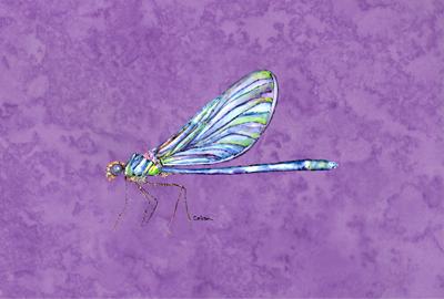 Dragonfly on Purple Fabric Placemat by Caroline&#39;s Treasures