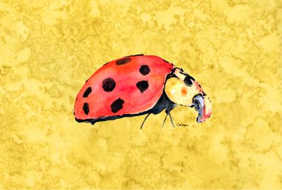 Lady Bug on Yellow Fabric Placemat by Caroline&#39;s Treasures