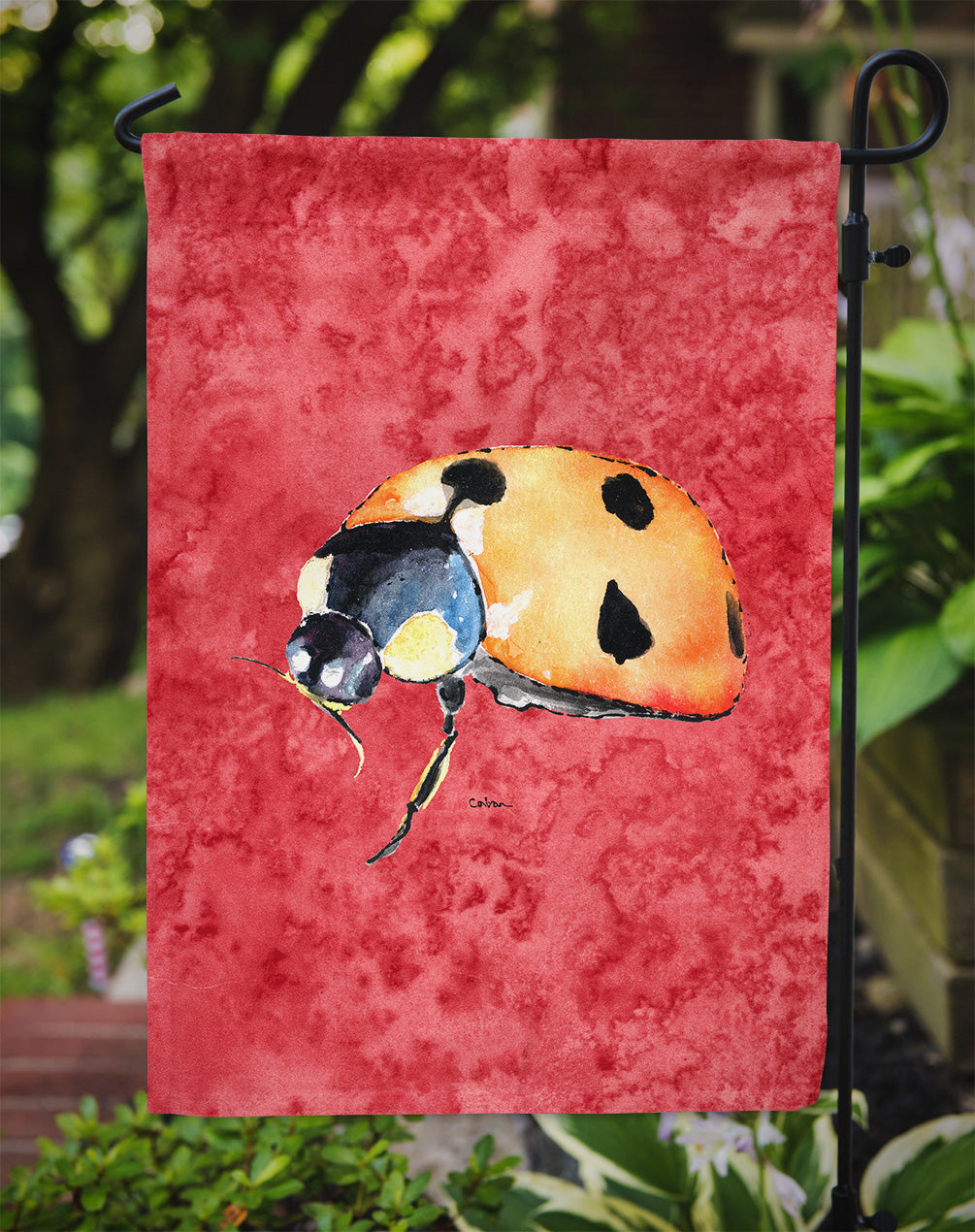 Lady Bug sur la taille du jardin du drapeau rouge