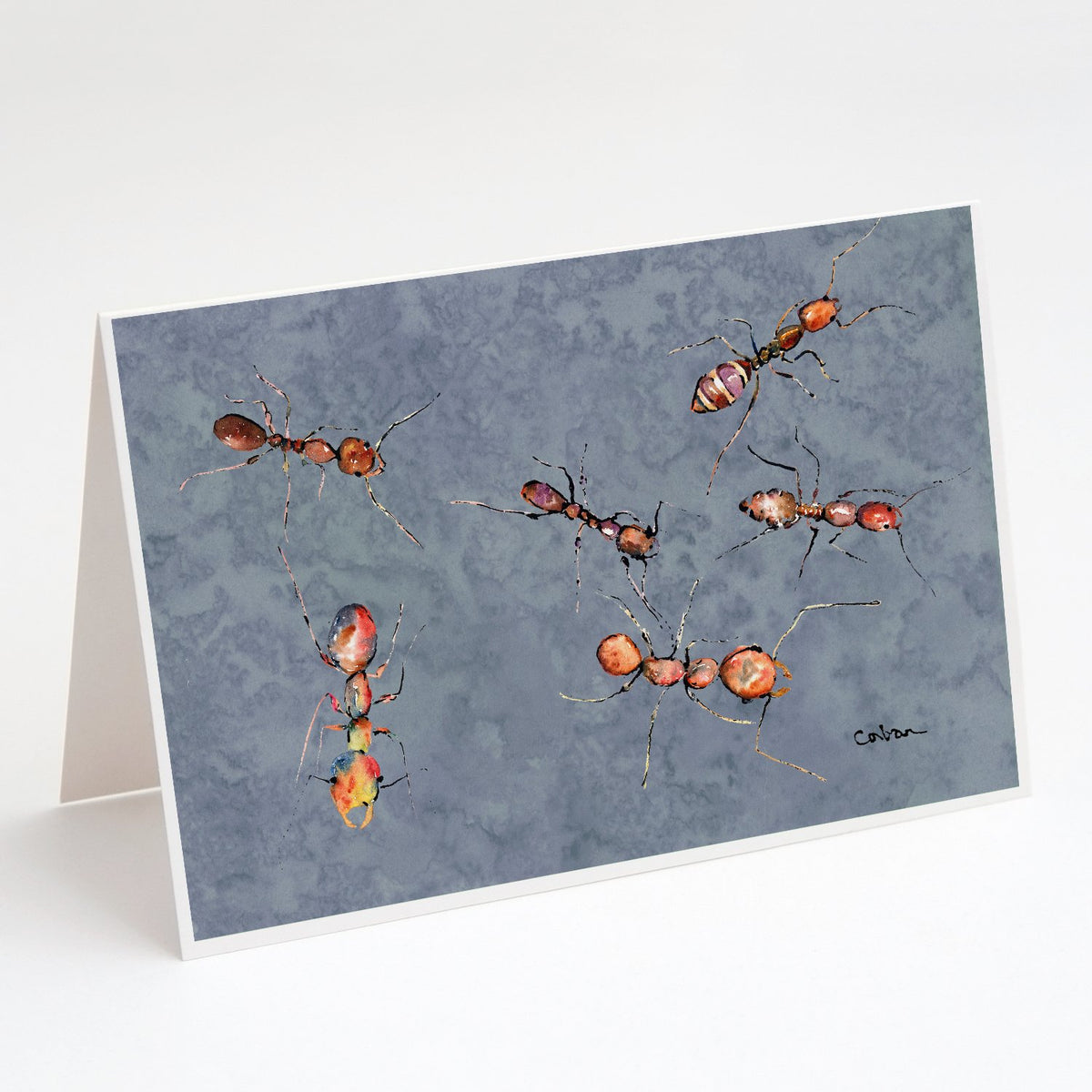 Buy this Ants Greeting Cards and Envelopes Pack of 8