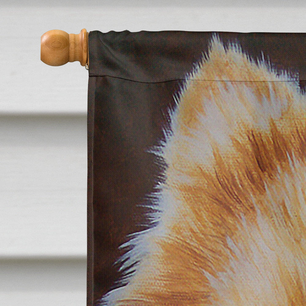 Pomeranian Flag Canvas House Size AMB1049CHF