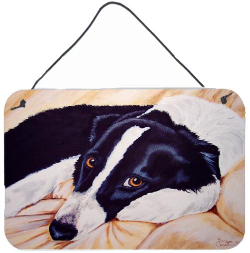 Naptime Border Collie Wall or Door Hanging Prints AMB1080DS812 by Caroline&#39;s Treasures