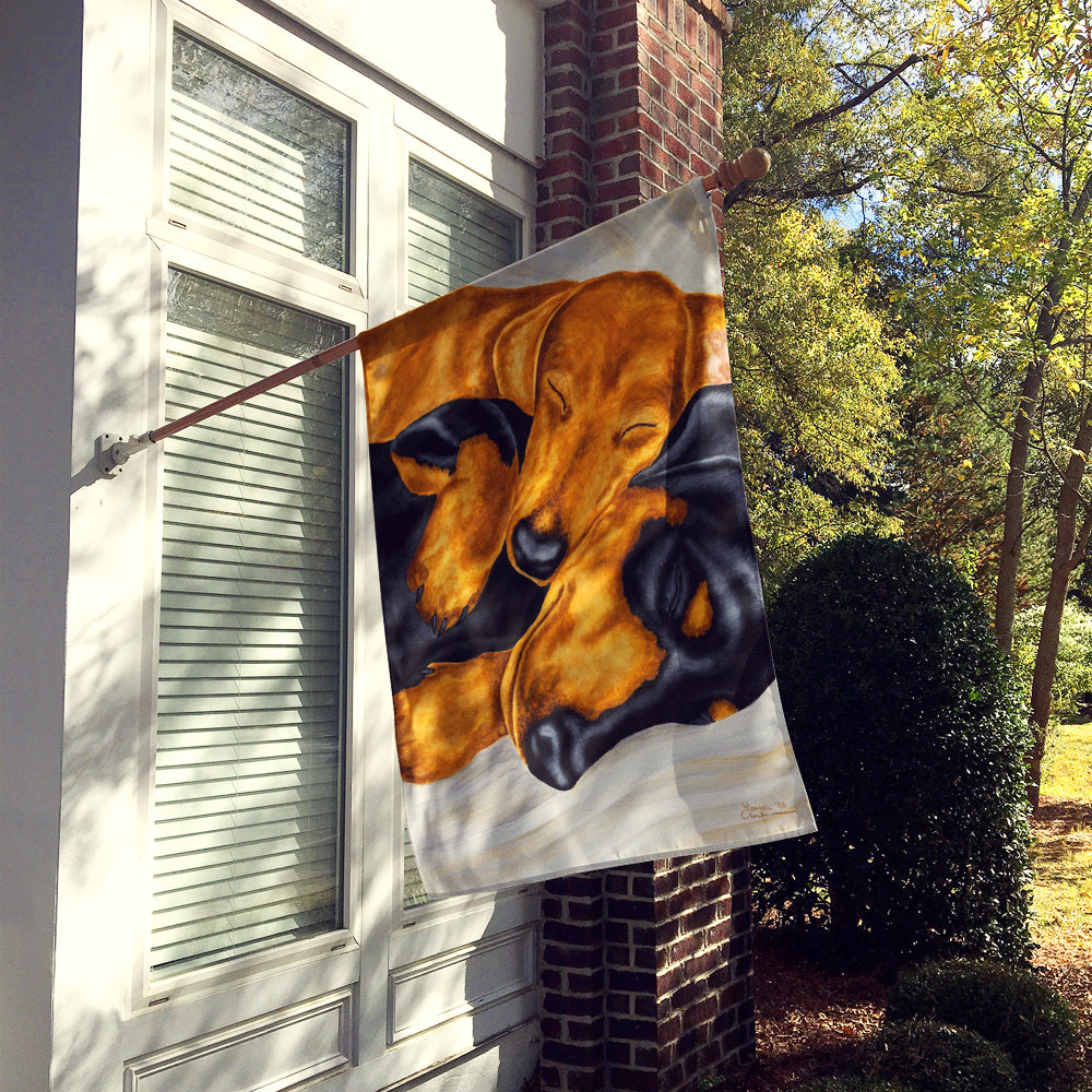 Dachshund Snuggles Flag Canvas House Size AMB1110CHF  the-store.com.