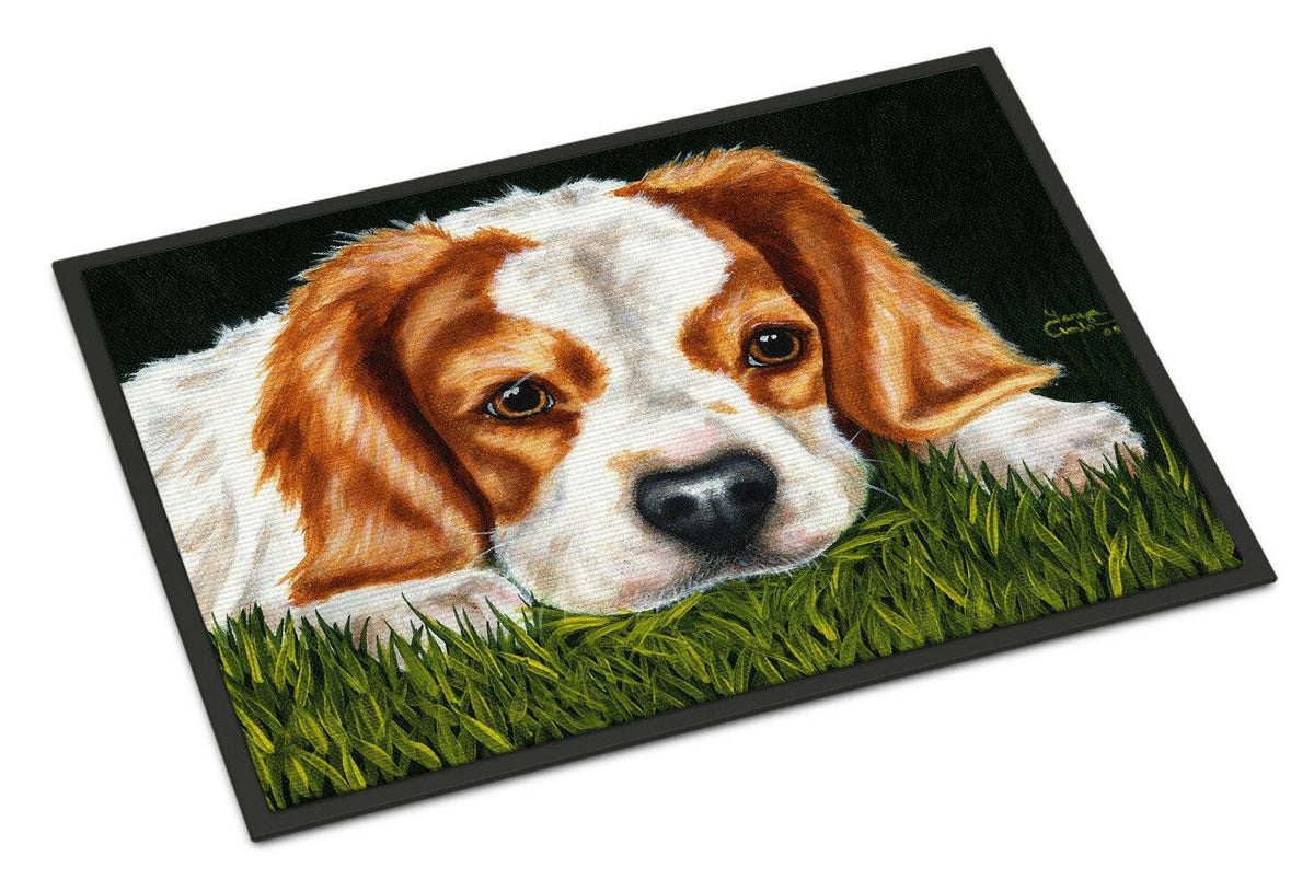 Cavalier Spaniel in the Grass Indoor or Outdoor Mat 18x27 AMB1395MAT - the-store.com