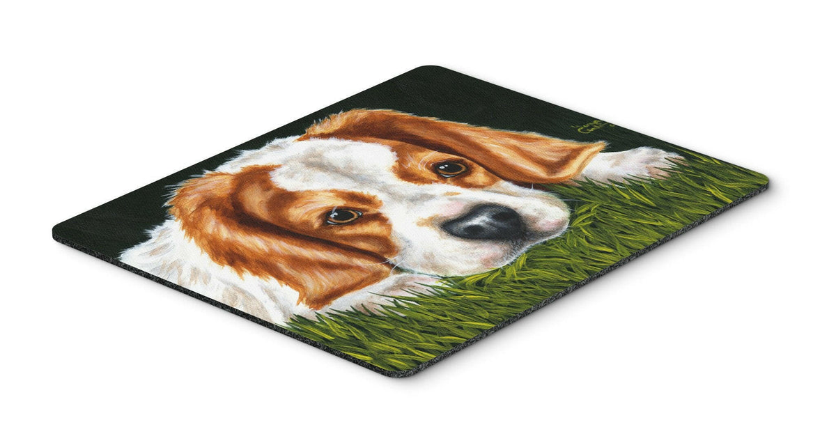 Cavalier Spaniel in the Grass Mouse Pad, Hot Pad or Trivet AMB1395MP by Caroline&#39;s Treasures