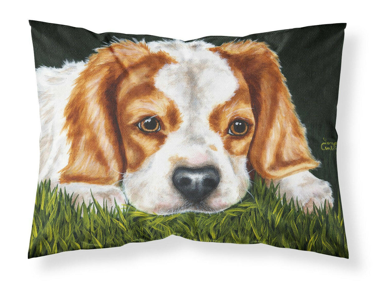 Cavalier Spaniel in the Grass Fabric Standard Pillowcase AMB1395PILLOWCASE by Caroline&#39;s Treasures