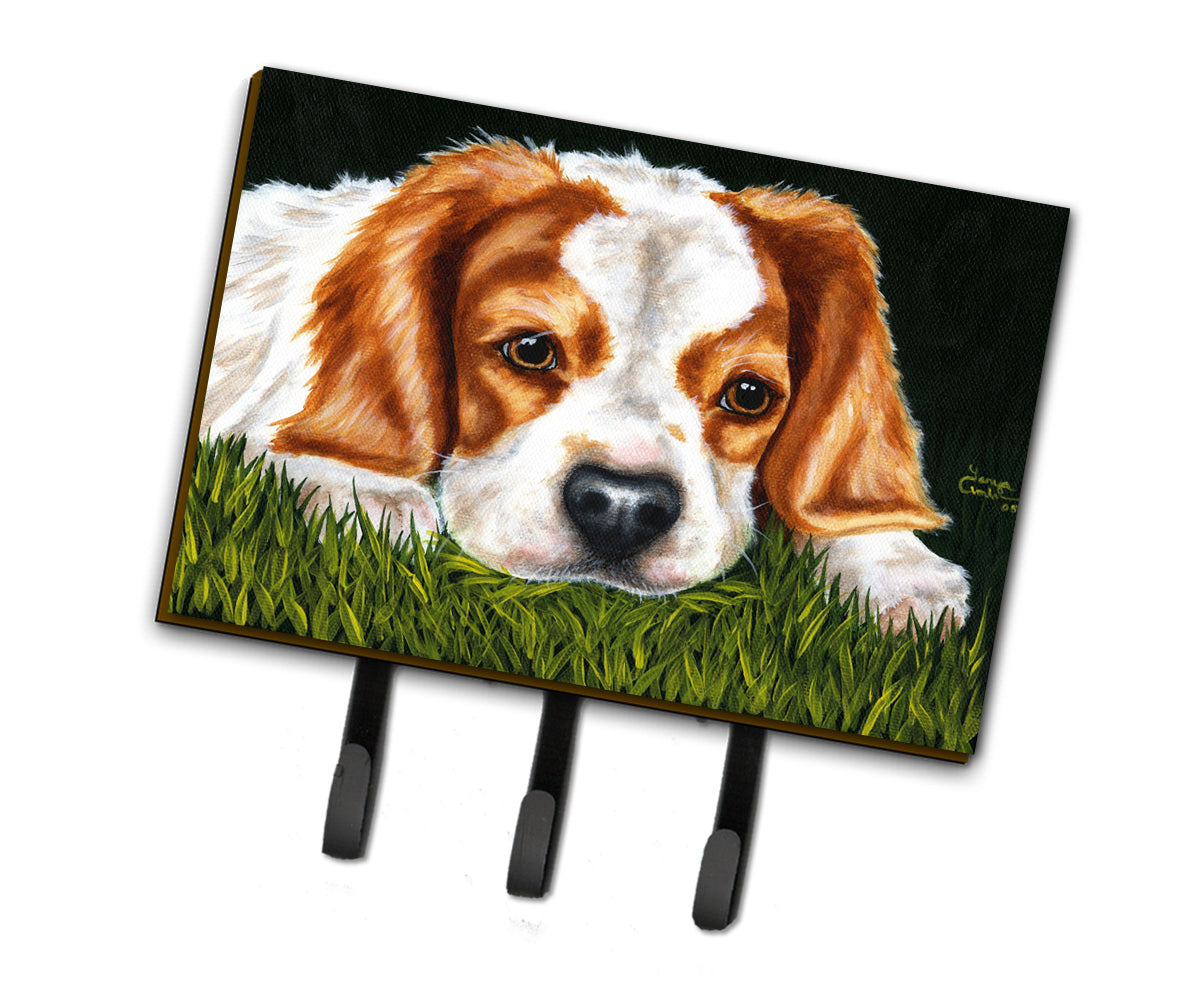 Cavalier Spaniel in the Grass Leash or Key Holder AMB1395TH68