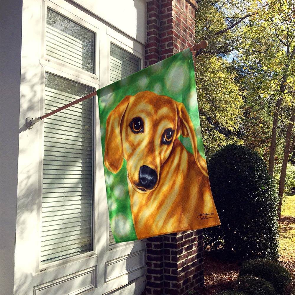 The Eyes Have It Dachshund Flag Canvas House Size AMB1414CHF