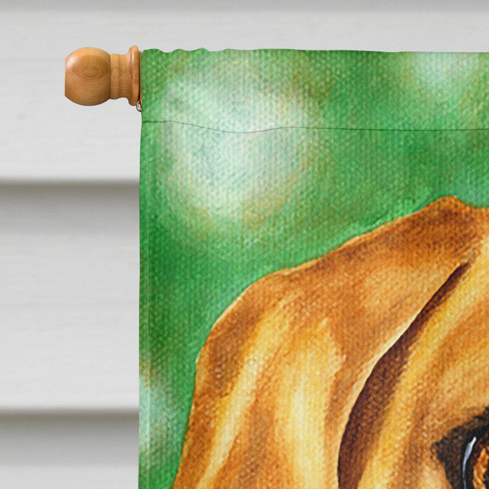 The Eyes Have It Dachshund Flag Canvas House Size AMB1414CHF  the-store.com.
