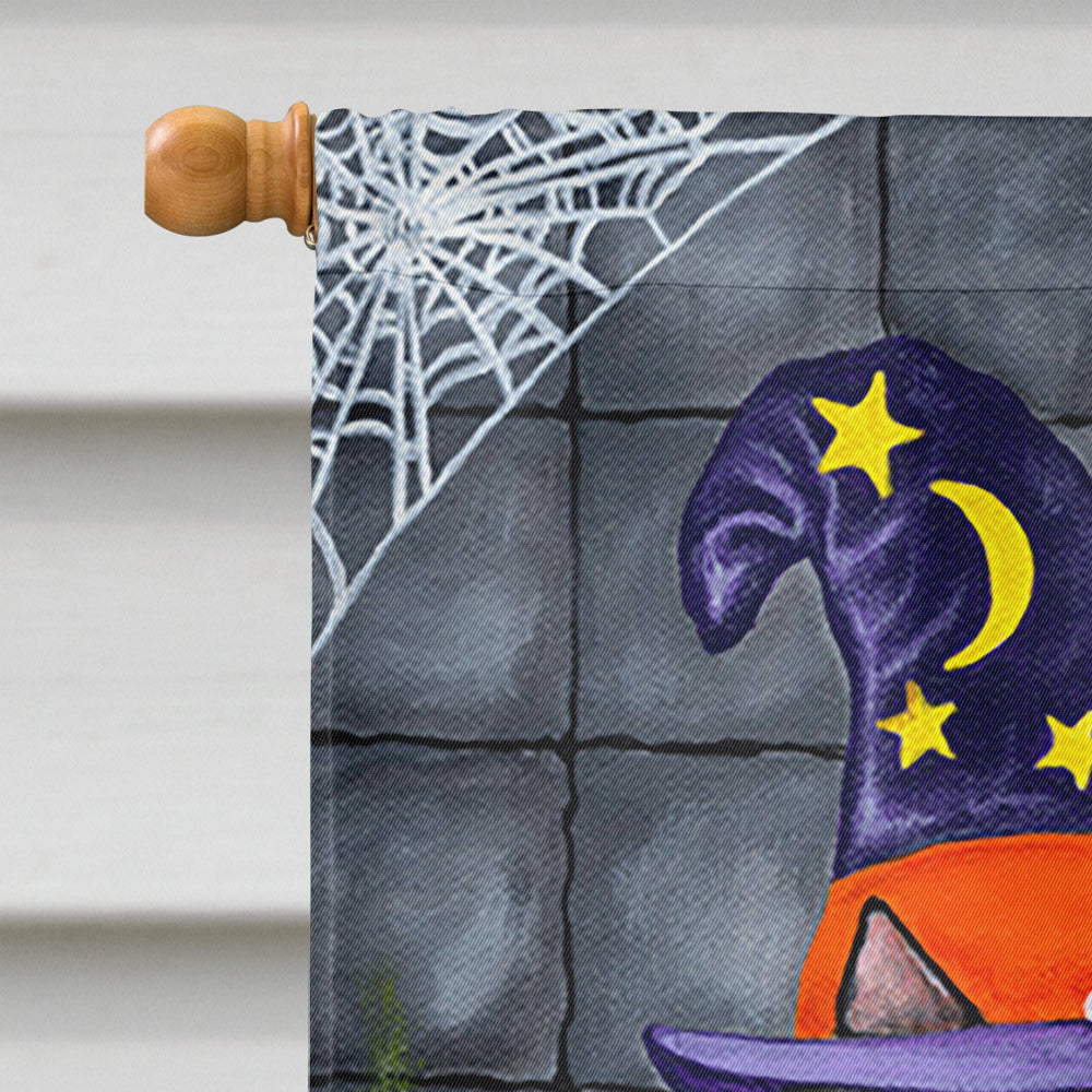 Brewing up Trouble Halloween Teckel Drapeau Toile Maison Taille AMB1434CHF