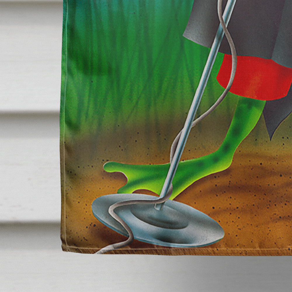 Frog Comedy Routine Flag Canvas House Size APH0523CHF