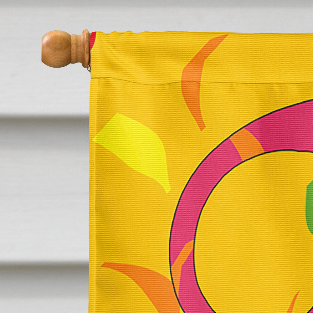 Happy 2nd Birthday Age 2 Flag Canvas House Size APH2159CHF