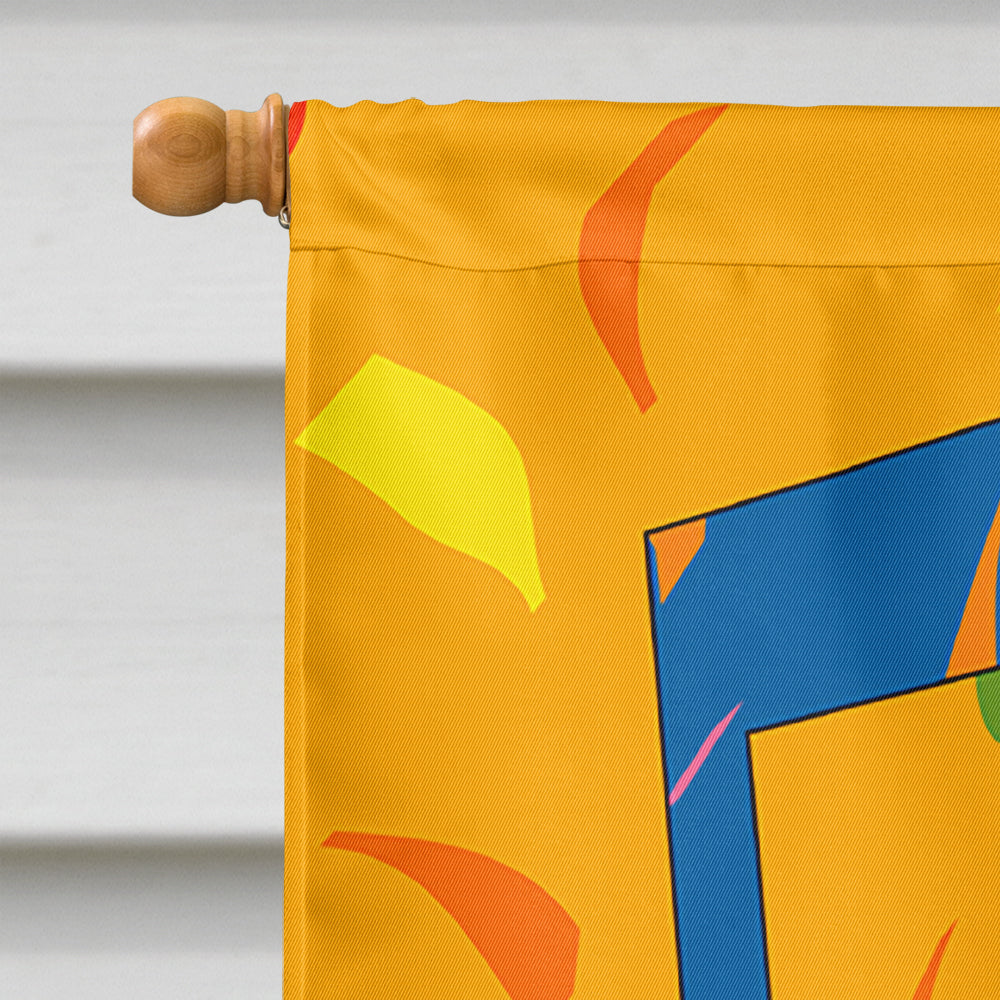 Happy 5th Birthday Age 5 Flag Canvas House Size APH2163CHF