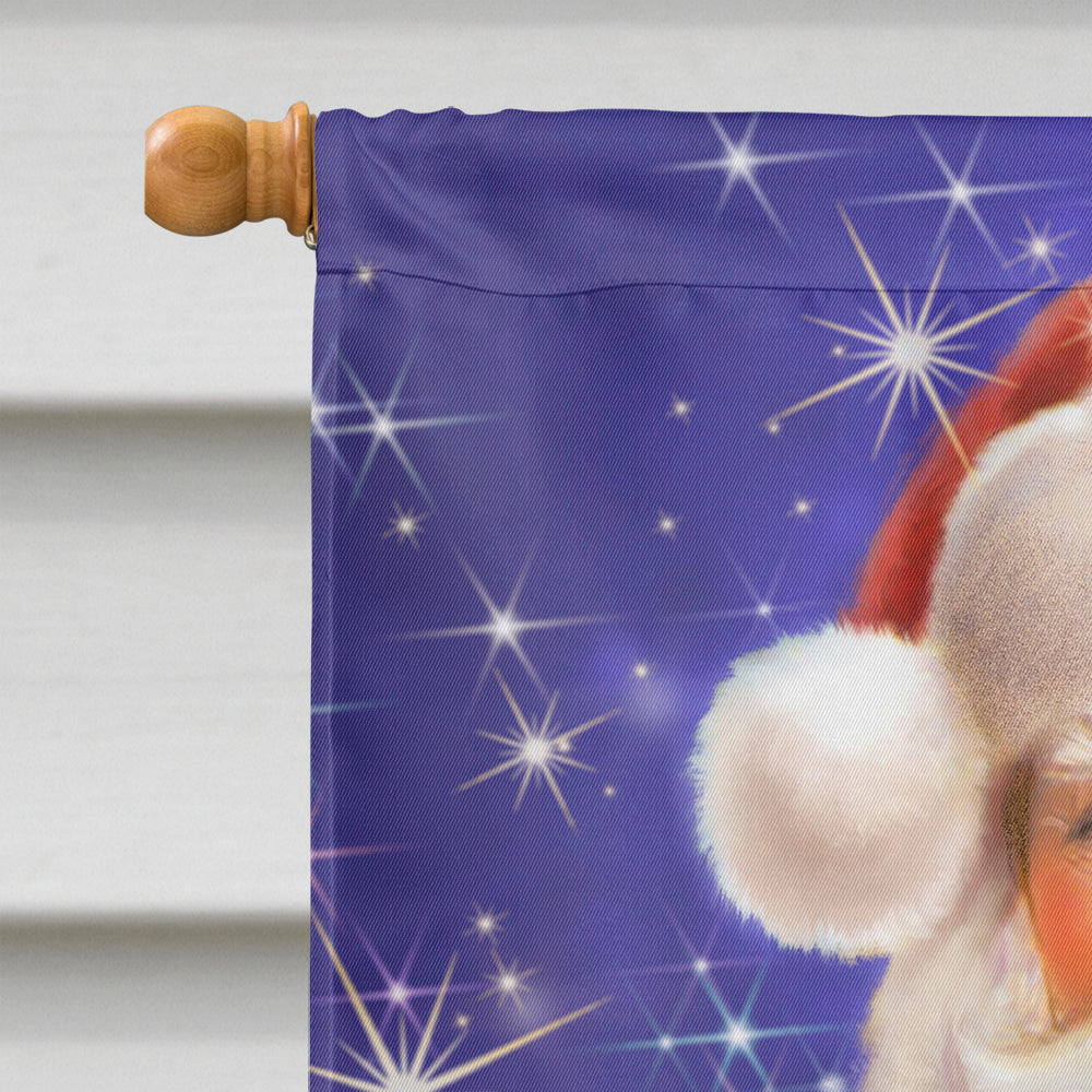 Christmas Santa Claus Ready to Work Flag Canvas House Size APH7595CHF