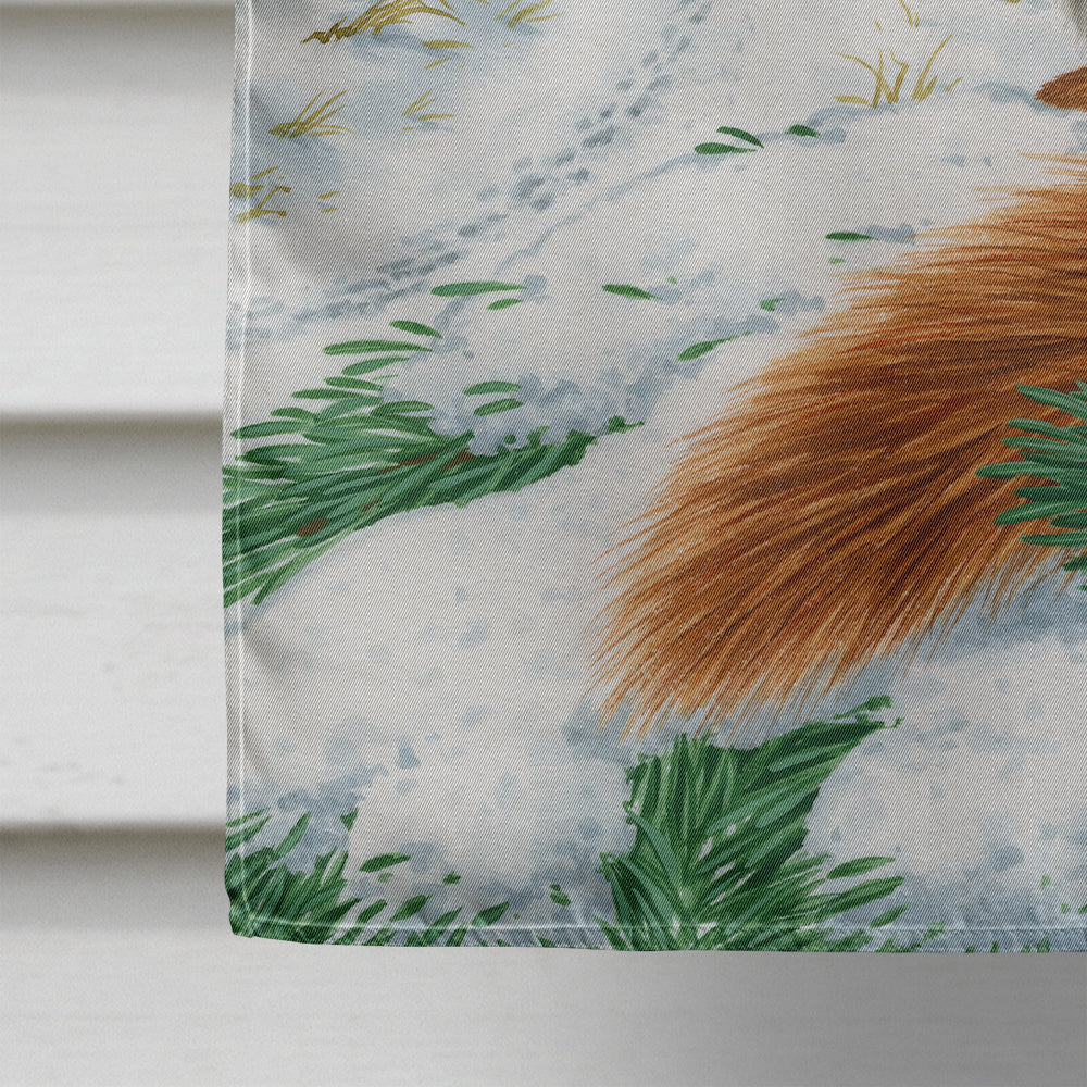 Red Squirrel & Cottage Flag Canvas House Size ASA2014CHF
