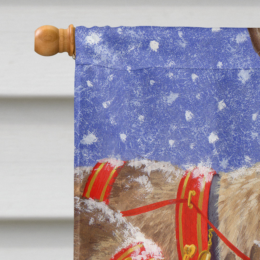 Reindeers & Squirrel Flag Canvas House Size ASA2016CHF  the-store.com.